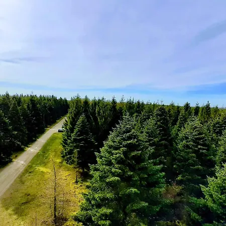 4 Person In Hovborg-by Traum *