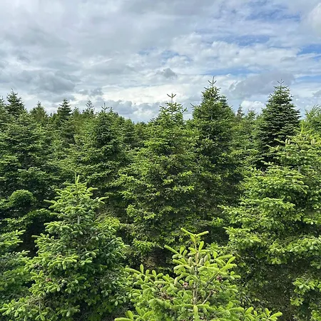 Casa de Férias 4 Person In Hovborg-by Traum