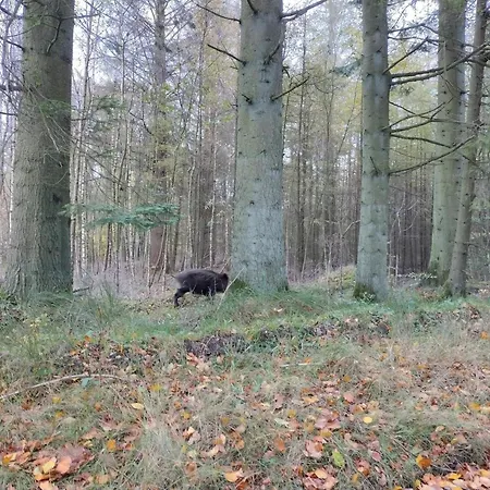 4 Person In Hovborg-by Traum *