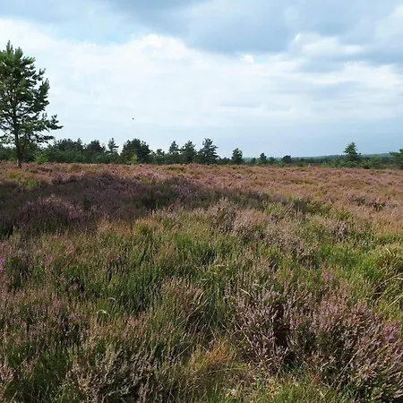 Casa de Férias 4 Person In Hovborg-by Traum Hovborg