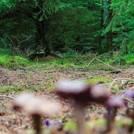 4 Person In Hovborg-by Traum Casa de Férias *