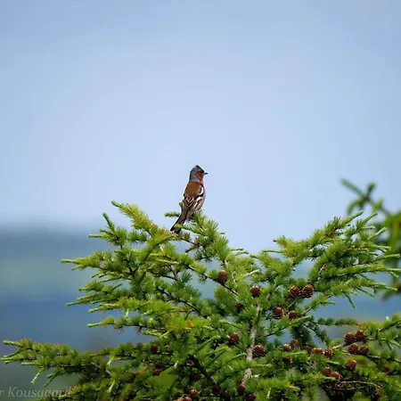 Casa de Férias 4 Person In Hovborg-by Traum