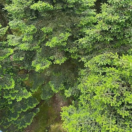 Casa de Férias 4 Person In Hovborg-by Traum *