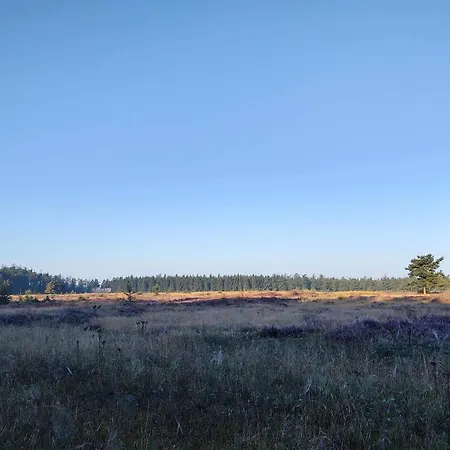 4 Person In Hovborg-by Traum Сasa de vacaciones
