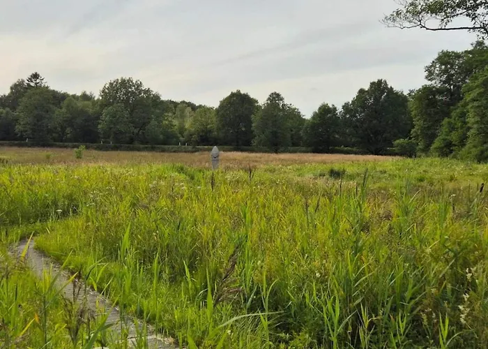 4 Person In Hovborg-by Traum * Hovborg