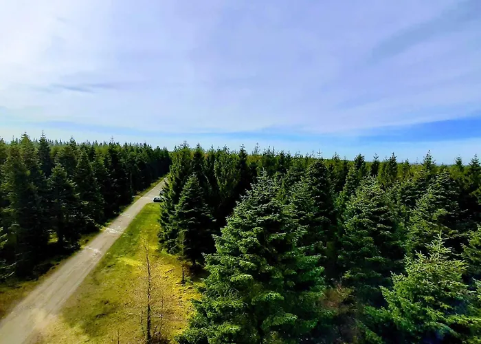 4 Person In Hovborg-by Traum *