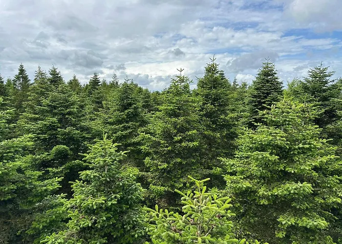 Prázdninový dům 4 Person In Hovborg-by Traum