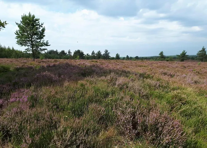 Prázdninový dům 4 Person In Hovborg-by Traum Hovborg