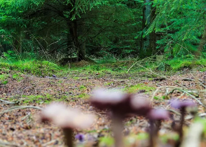 4 Person In Hovborg-by Traum Prázdninový dům *