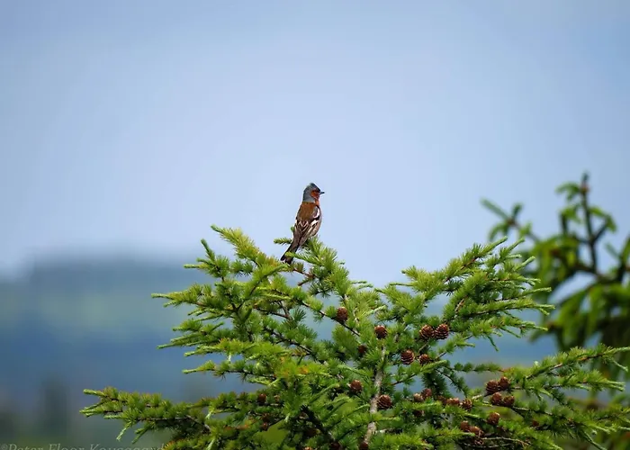 Prázdninový dům 4 Person In Hovborg-by Traum