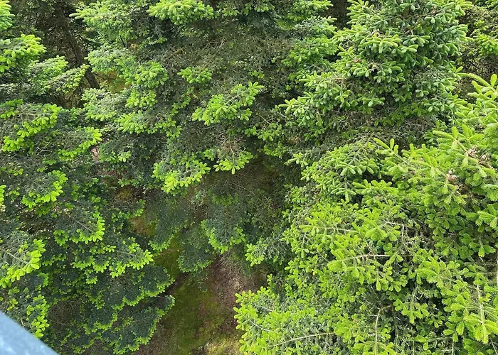 Prázdninový dům 4 Person In Hovborg-by Traum *