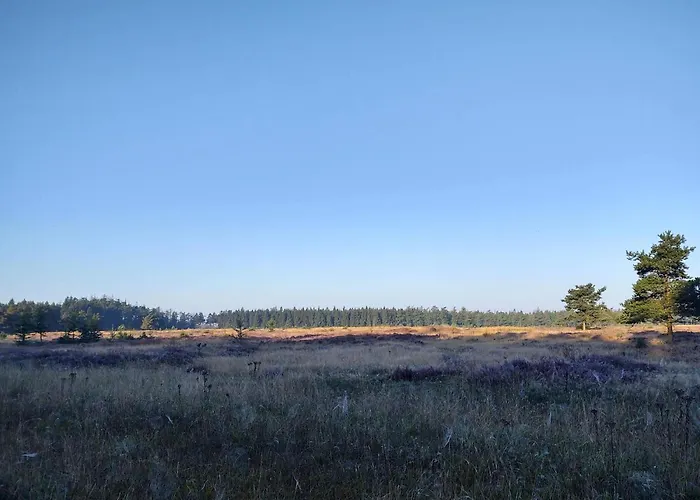 4 Person In Hovborg-by Traum Prázdninový dům