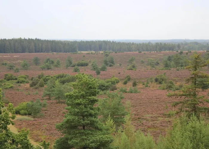 4 Person In Hovborg-by Traum Prázdninový dům *