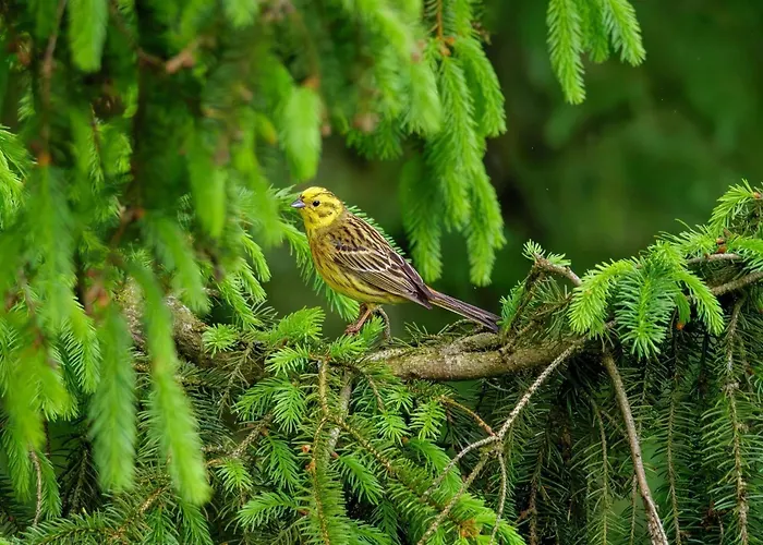4 Person In Hovborg-by Traum Prázdninový dům Hovborg